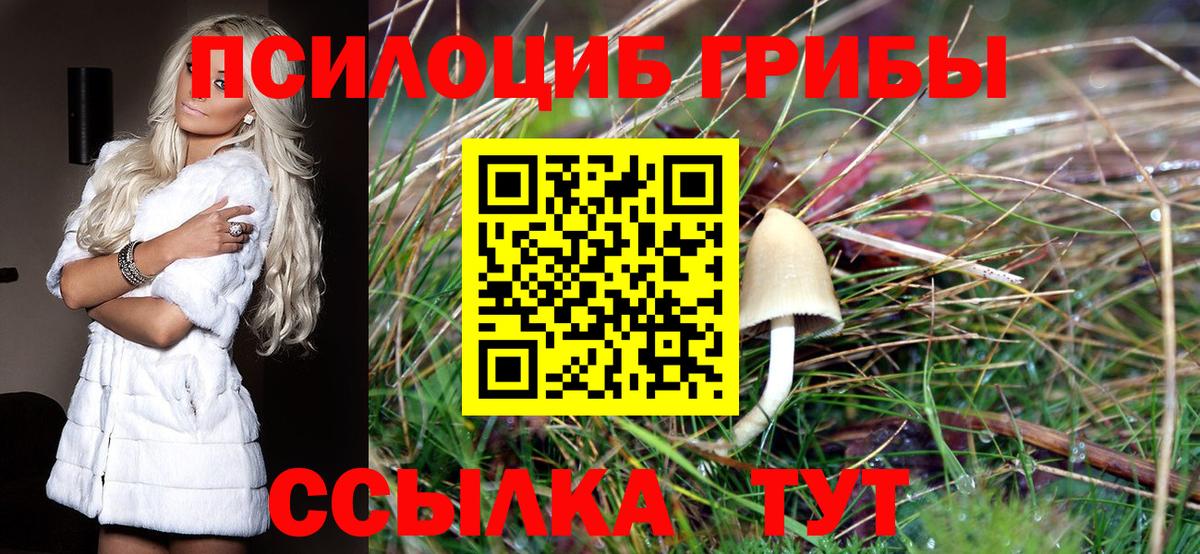 Галлюциногенные грибы мицелий Армавир