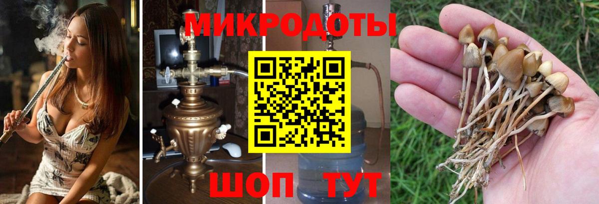купить наркотики цена  Псилоцибиновые грибы ЛСД  Вход с VPN  Армавир 